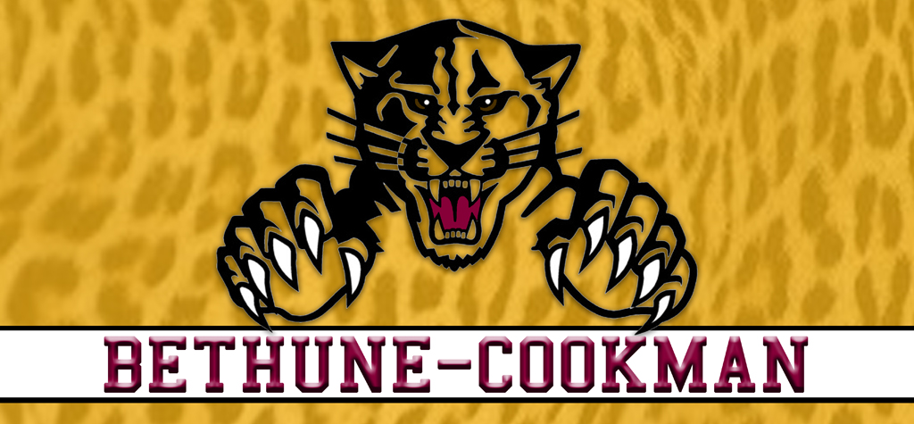 P 805 BCU Bethune Cookman Wildcats